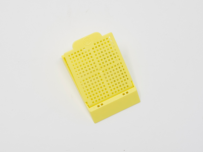 PrintMate Biopsy Cassettes - Cassette 2