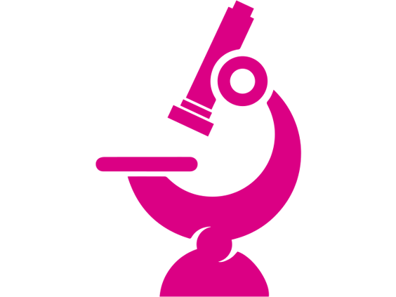 Digital Pathology image